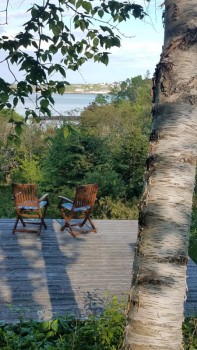 Cozy Cottage on Johnson Bay